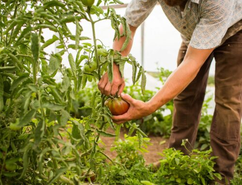 3 outils numériques pour mieux suivre vos engagements durables